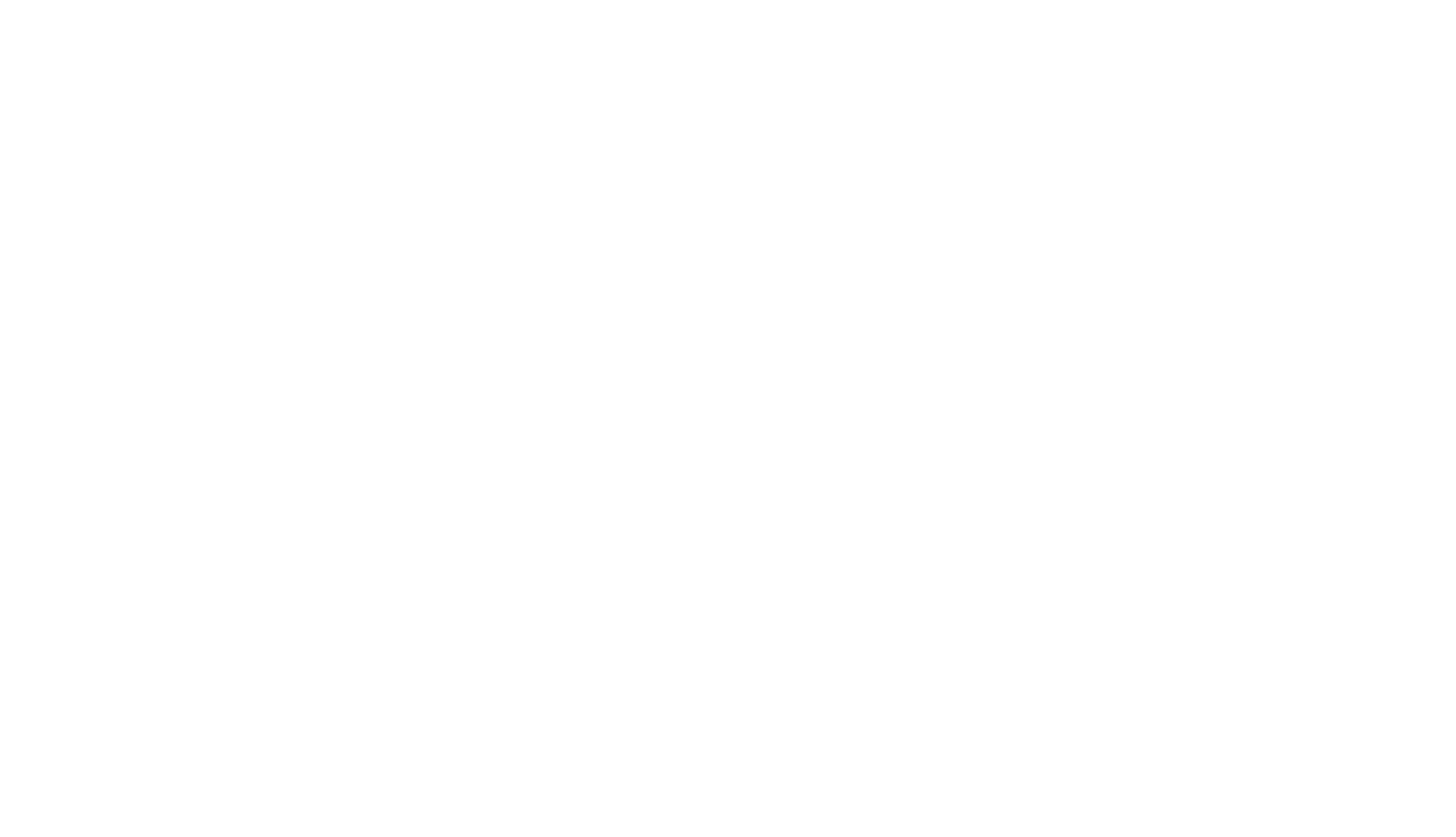 Hvidt Relion logo - white